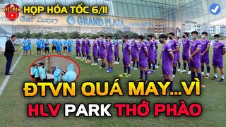 VFF Họp Hỏa Tốc, ĐTVN Và HLV Park Nhận Ưu Tiên Trong Vùng Đỏ, NHM Thở Phào Nhẹ Nhõm