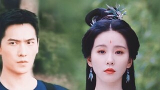 Para Leluhur yang Terpilih! Bambu Huai Terpilih! Seluruh kru akan meminta nasihat Liu Shishi tentang