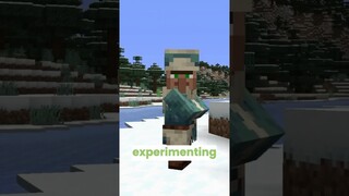 the new surprise minecraft snapshot