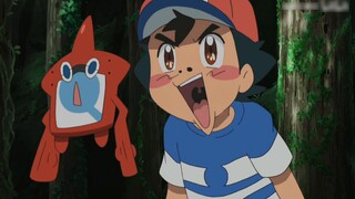 Pokémon丨Trận chiến với Pokémon ngủ quên khi đang bay là người đầu tiên, hahaha.