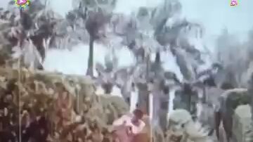 Bangla Movie