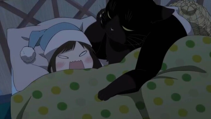 When the black cat learned that he could get away from his lazy owner, he decisively abandoned the h