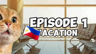 CAT FAMILY GOES TO THE PHILIPPINES