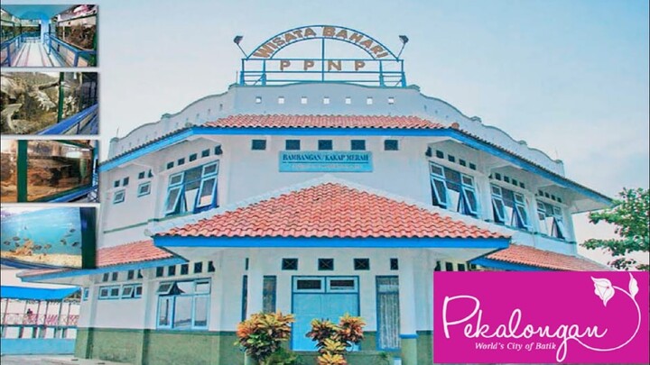 Melihat Ikan-Ikan di Wisata Bahari PPN Pekalongan