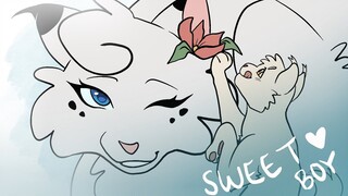 Sweet Boy 🤍 Snowfur and Whitekit PMV 🤍