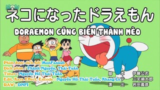 Doraemon : Doraemon cũng biến thành mèo