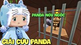 Giải cứu Panda ngu ngốc trong Mini World | Meowpeo giải mã