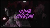 Numb Cheetah | TØP/Linkin Park (Mashup)