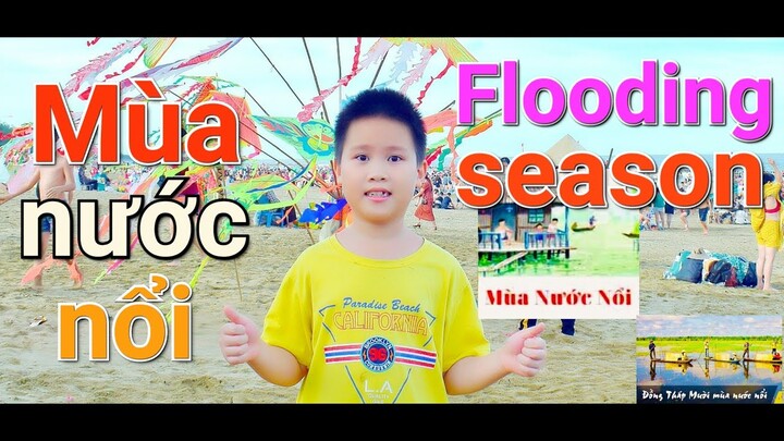 Mùa nước nổi | Flooding season | Vẻ đẹp quyến rũ ở vùng Đồng bằng sông Cửu Long vào mùa nước nổi🌺