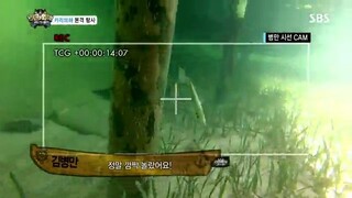 Law of the Jungle in Caribbean/Maya Jungle [1] ENG SUB