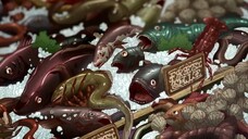 Rage of Bahamut - episodes 04