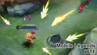 Mobile Legends WTF | Funny moments Poor WANWAN