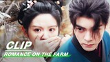 Shen Nuo was Ambushed by a Killer and Seriously Injured | Romance on the Farm EP24 | 田耕纪 | iQIYI