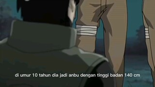 Fakta tentang Yamato