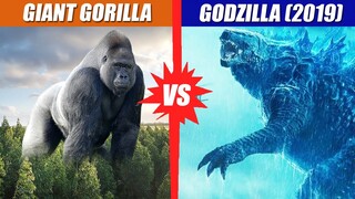 Giant Gorilla vs Godzilla (2019) | SPORE