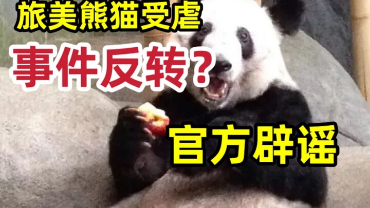 【全网最详】旅美熊猫丫丫究竟有没有被虐待？官方反复辟谣没人听？