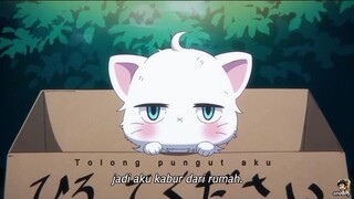 kucing tsundere adalah yang terbaik ❤😊👍‼️