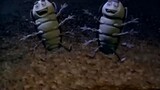 A Bug's Life - watch full movie : link in description