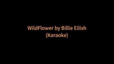 WildFlower by Billie Eilish (Karaoke 🎤)