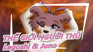 [THẾ GIỚI NGƯỜI THÚ] Legoshi & Juno