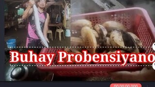 Buhay probensiya