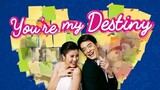 You're My Destiny Episode 6 (TagalogDubbed)
