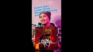 Suara Kucing dari Game Stray Diisi oleh Kucing Asli