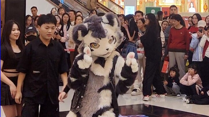 [Fursuit Dance] Silver Carbon Gintan - (G)I-DLE 'SUPER LADY'