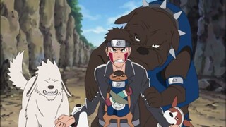 Kiba y Akamaru vs Los perros ninja de Kakashi - Naruto Shippuden