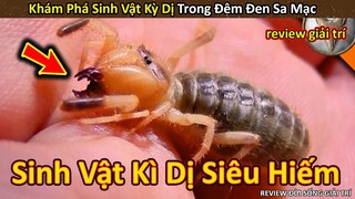 Hảo Hán Review những Sinh Vật Kỳ Dị Siêu Độc trong Đêm Đen Ở Sa Mạc || Review Giải Trí Đời Sống