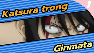 Là Katsura, không phải Zura | Gintama