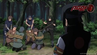 naruto shipp 443