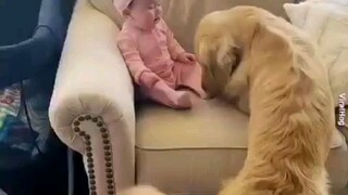 Cute babies with animals