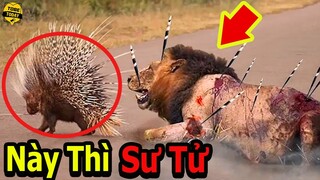 🔴7 Động Vật Có Thể Tự Bảo Vệ Mình Khỏi Những Kẻ Đi Săn Khát Máu Khiến Hàng Triệu Người Sửng Sốt