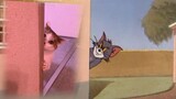 Tom và Jerry được cải biên từ chuyện có thật