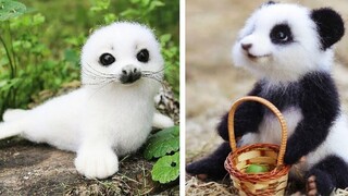 OMG Animals SOO Cute! AWW Cute baby animals Videos Compilation CUTEST moment of the animals 3