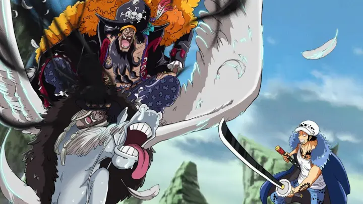 Law vs Blackbeard: After Take Down Kaido And Bigmom, Blackbeard Is The Next One Comes To Law