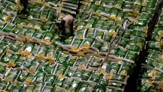 working poor people heavy bags of rice filling in cargo hold under the heat of the sun