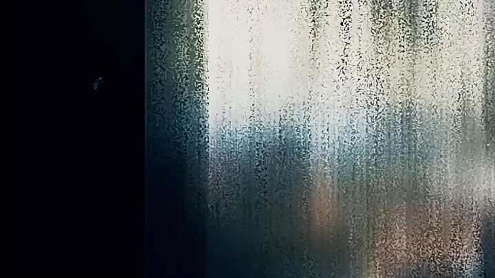 逼是真的