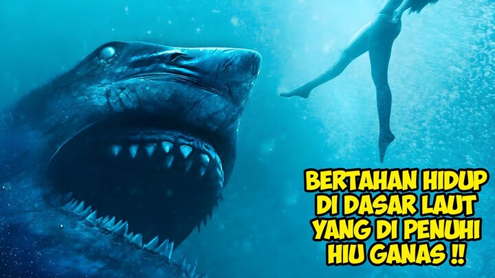 Kisah Dua Bersaudara Yang Terjebak 47 Meter Di Dasar Laut | Alur Cerita Film ( 47 Meters Down )