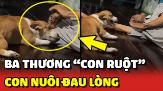 Con Sen GHEN TỊ khi thấy Bố và "CON RUỘT LẮM LÔNG" yêu thương nhau 😂 | Yêu Lu