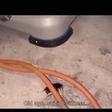 🔥