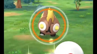 Pokémon GO-Shiny Falinks