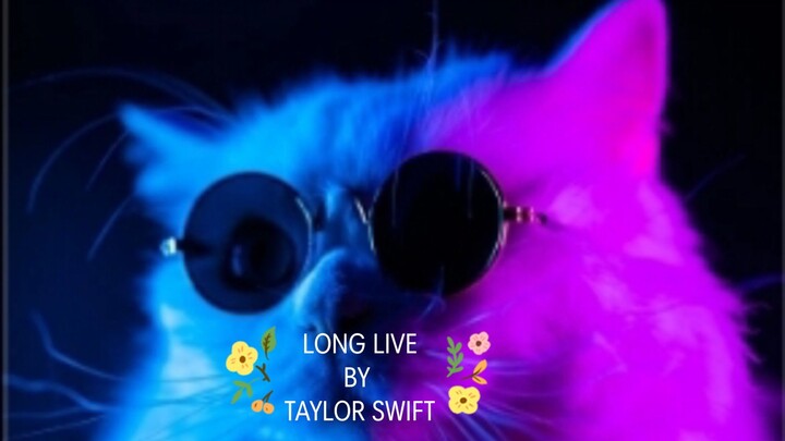 LONG LIVE BY TAYLOR SWIFT