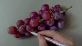 [Painting Process] Guess which grape is drawn
