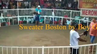 Sweater Boston grabe pumalo hindi na sugatan🏆🐓 sureball kung pumalo🧨.