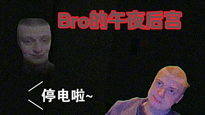 Bro的午夜后宫：