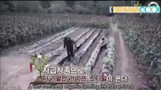 Three Meals A Day Episode 5 - Engsub