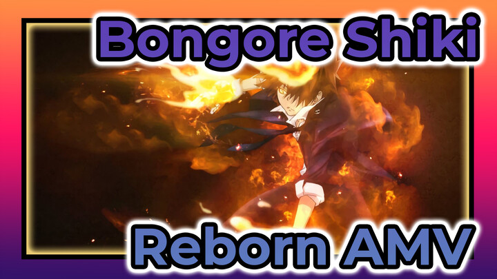 Terima Kasih atas Perlindungan Bongore Shiki | Reborn AMV