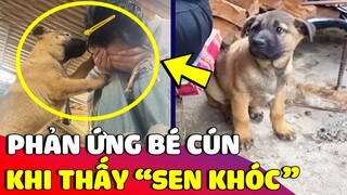 Con Sen giả khóc 'THỬ LÒNG' chú cún nhỏ của nhà mình và 'CÁI KẾT' 🥰 | Gâu Đần